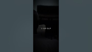 اكتب شيء تؤجر عليه 😴💚 قران كريم | ياسر الدوسري