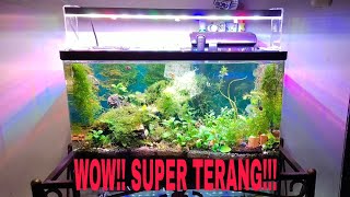 halo FISH PEOPLE akhirnya selsai juga Aquarium Predator Evo enjoy.... 