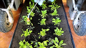 Concept video: Using robotics to target weeds