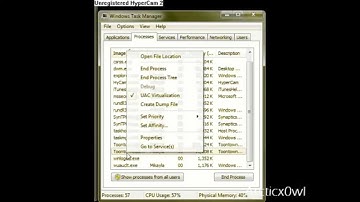 How to run two Toontown accounts