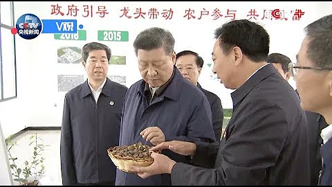 Chinese President Xi Jinping Inspects Poverty Alleviation Work in Henan - DayDayNews