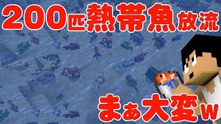 【カズクラ】200匹熱帯魚放流したらまぁ大変ｗｗマイクラ実況 PART339