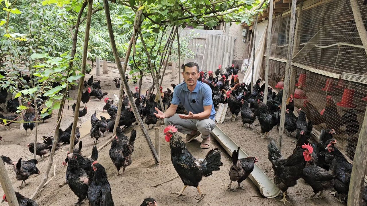 Таёр бизнес сотилади 2000$ даромади зур