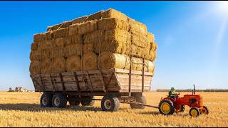 SMALL TRACTORS NO ONE DARES TO UNDERESTIMATE