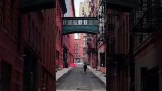 Staple Street Skybridge