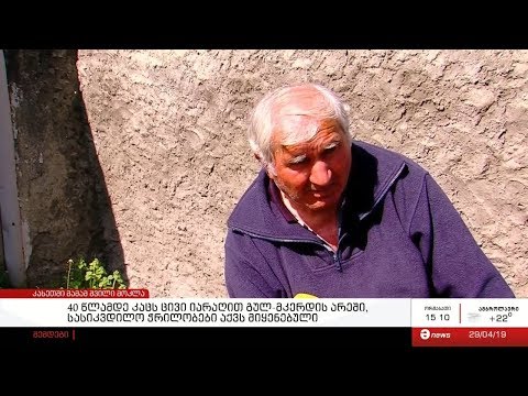 კახეთში მამამ შვილი მოკლა