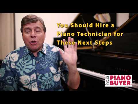 Piano Buyer: How to Find the Serial Number of Your Piano