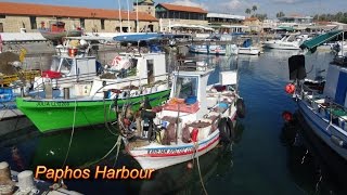 Cyprus, Paphos   Town & Market & Harbour