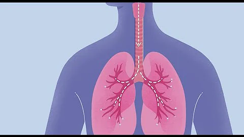 How COVID-19 Affects Your Lungs - DayDayNews