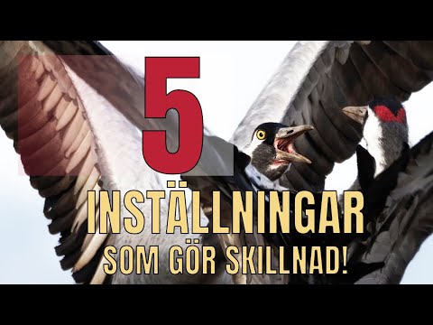 Video: Hur ser man skillnad på bromskamrar?