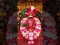 Jay Shyam Baba 🙏🙏 #music  #shortvideo #song #funny #newsong #shikha #love  #musicvideo #chhatrshal