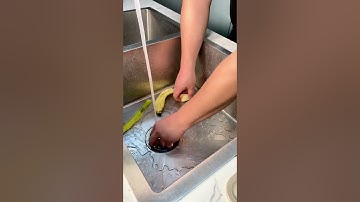 How to grind banana by MAX 4 garbage disposal？#max #garbage