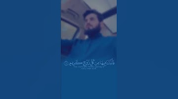 تلاوة جميلة من سورة لقمان {{ شيخ رعد محمد الكردي }} #short