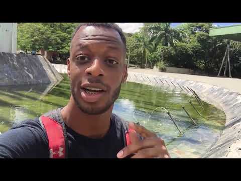 DON'T PAY THE GRINGO PRICE IN MEDELLÍN COLOMBIA