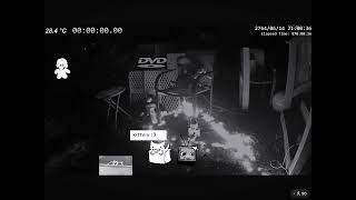 Night vision