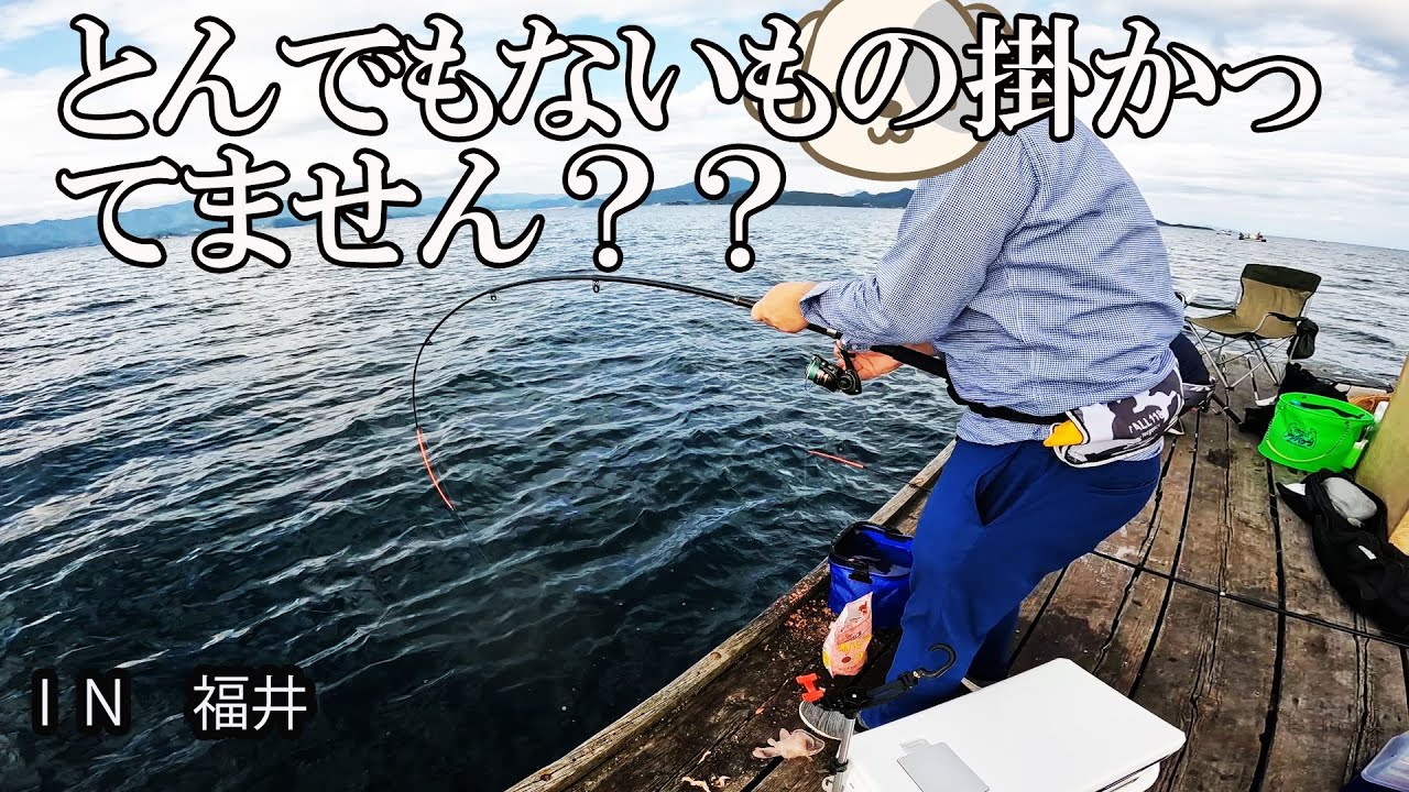 2024年晩夏　アジ釣りにチャレンジ 　尺アジを目標に頑張りましたが・・・　とんでもない大物に遭遇。結果はいかに？？　 マゴチ　アジ　サバ　小浜市　筏釣　筏　はとう渡船