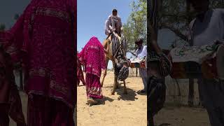 إحداهما كانت تتمايل مقلوبة مع نسمات الريح،والأخرى ترقص مستقيمة على دقات الطبل