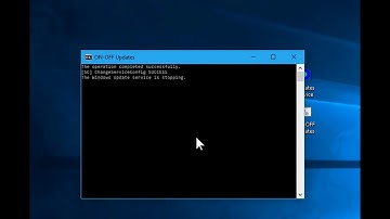 Using a Batch File in Windows 10 Home to disable Windows Updates Service