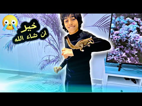 فاجأناه بضيف جديد