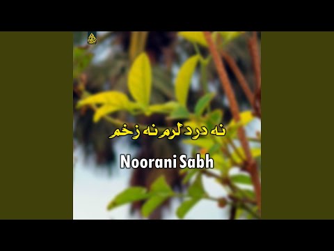 نه درد لرم نه زخم