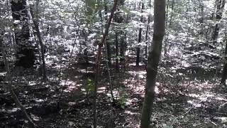 Yz490 hillclimb