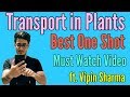 Transport in Plants in One Shot/ Best video for NEET Ft. Vipin Sharma