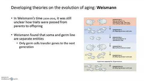 Evolution of Aging: Weissman and Medawar