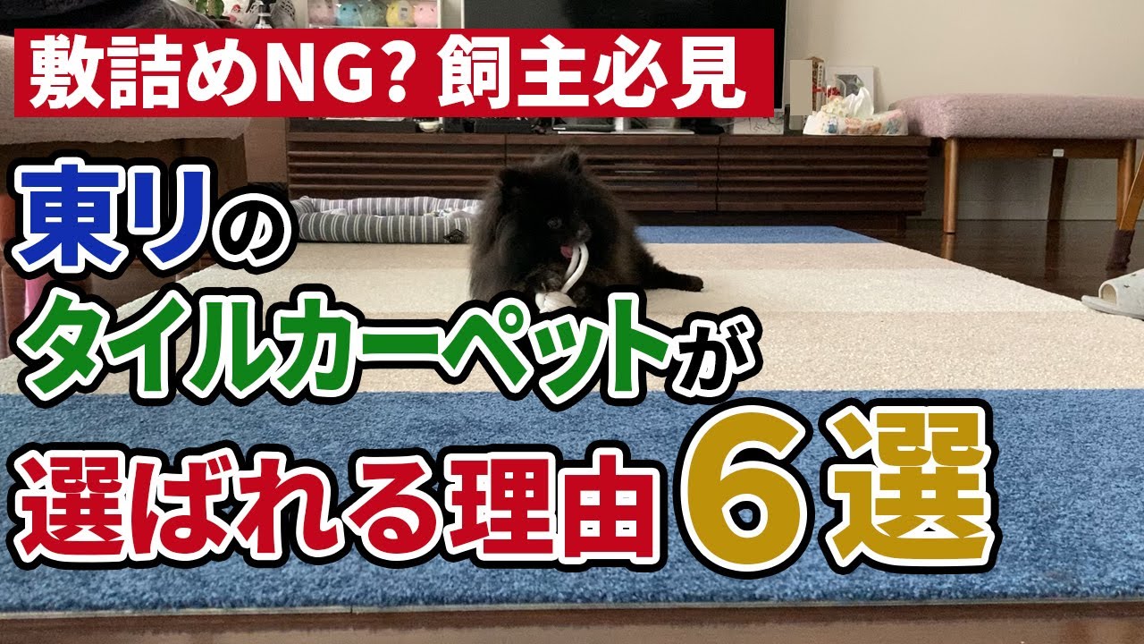 【最高】東リのタイルカーペットは無料でサンプルもらえます！