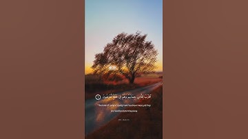﴿ بِسمِ اللّٰه الرَحْمَنِ الرَحِيم ﴾، سورة الأنبياء للقارئ الشيخ مشاري العفاسي ...
