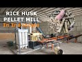 Indonesia Perfect Premium Rice Husk Pellet mill Briquete Machine