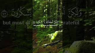 "Holy Quran ارح قلبك – Al-Menshawi – from Surah An-Naml #Quran #Peace"