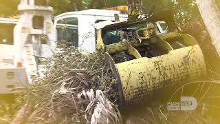 Solid Waste Management Bulky Waste Pickup New Appointment System