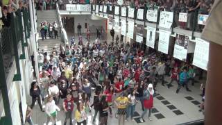 High School Musical Bernoulli-Flashmob 2012