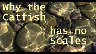 Why the Catfish has no Scales
