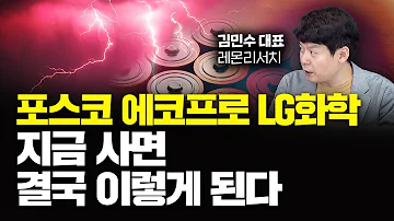 포스코홀딩스 포스코퓨처엠 에코프로 LG화학 지금 사면 결국 이렇게 된다 김민수 대표 3부