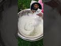 #paralysis #kothavarangai #juice #healthylifestyle #health #insta #foodie #food #recipe #reels #seli