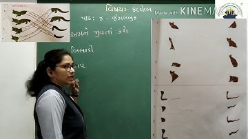 GUJ M STD 2 KALLOL PATH 4 PART 7