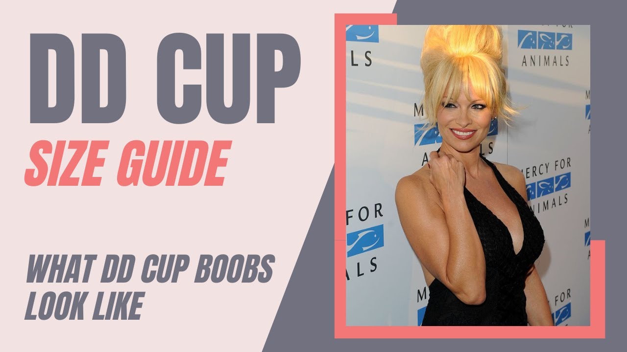 DD Cup Size Ultimate Guide: What DD Cup Breasts Look Like 