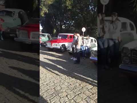 Encontro de carros Antigos #shorts