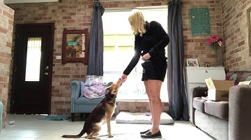 "Down" (or Drop) in successive approximation