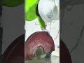 Concrete Cutting in Florida – Clean, Fast & Professional by A&Y GPR Services