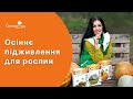 Кращі осінні добрива. Плодові та ягідні, хвойні рослини, газон.