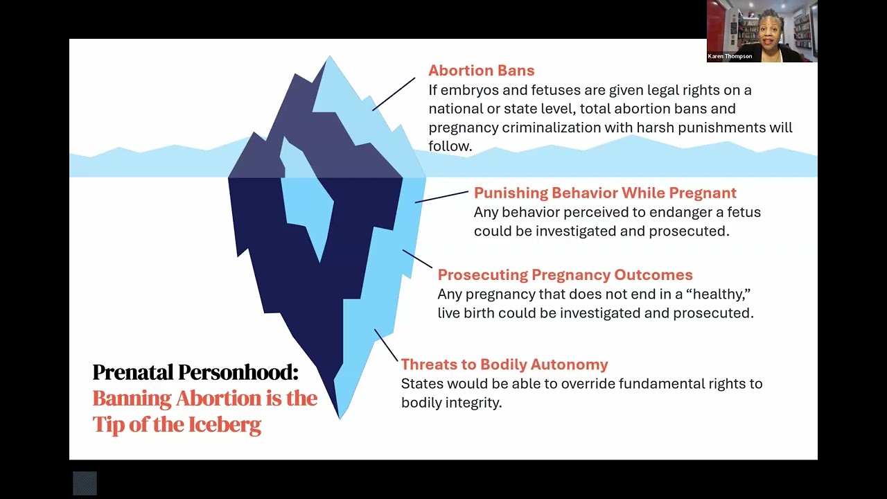 Legal Rights of Pregnant People: Trends and Alternatives to Criminalization
