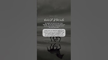 سورة فصلت اسلام صبحي حالات واتس
