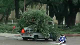 Massive cleanup in place as Kingsville recovers from last night's storm