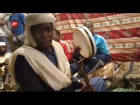 حميدة نخلة
