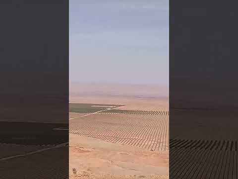 فيديو من المريخ المغرب ورزازات النخلة النخل المنتخب المغربي جائزة تنغير النخيل أسوان