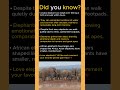 What Elephants Know That We Don’t… #didyouknow