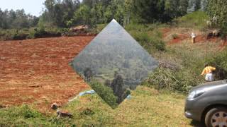 COTTAGE for SALE in OOTY  - Call 9449667252