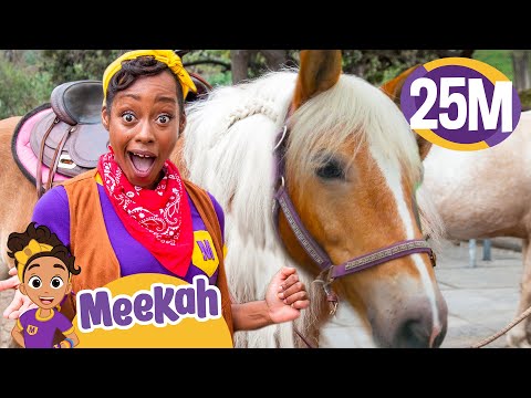 Meekah Learns to